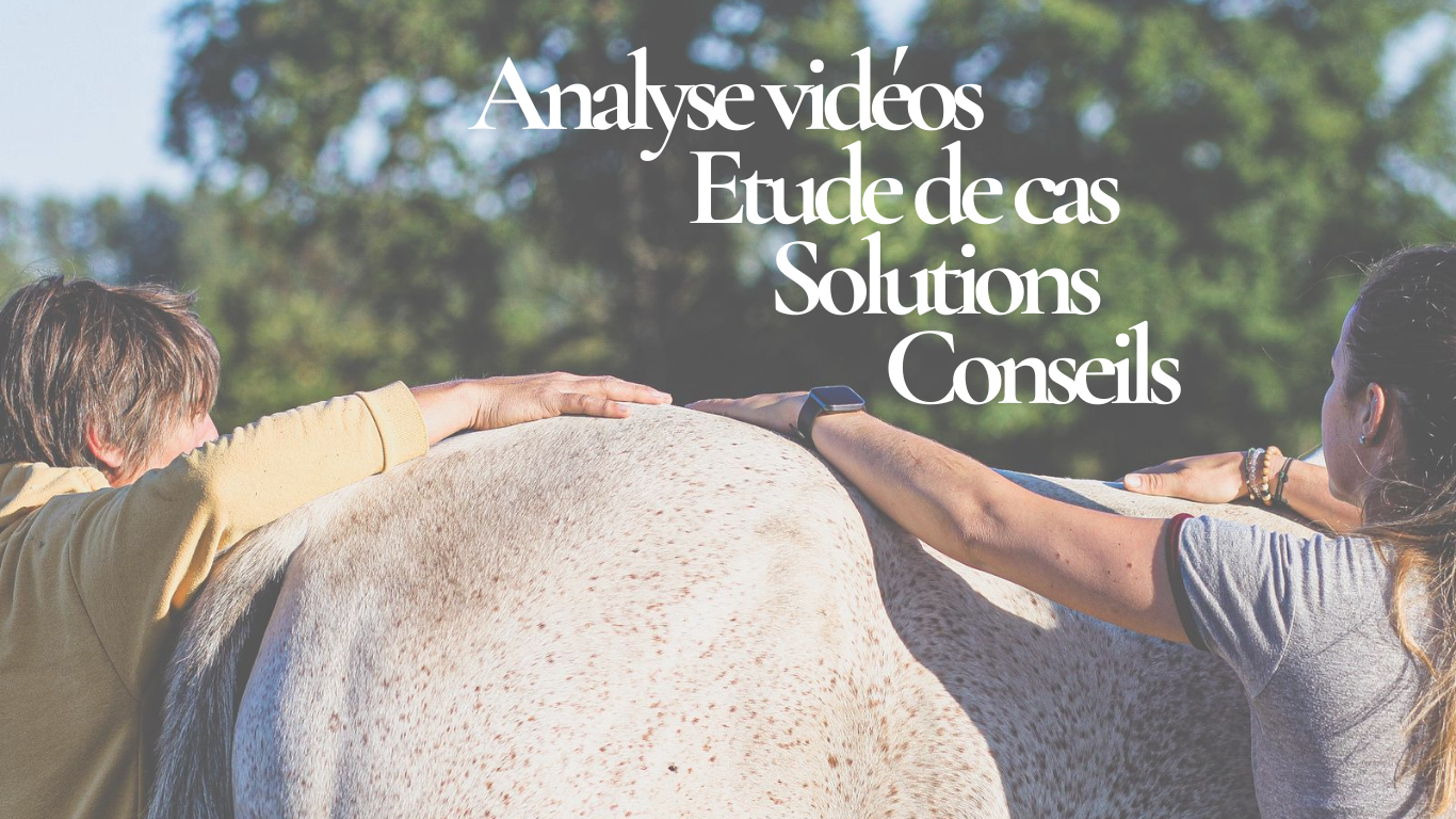 Analyse biomécanique & coaching