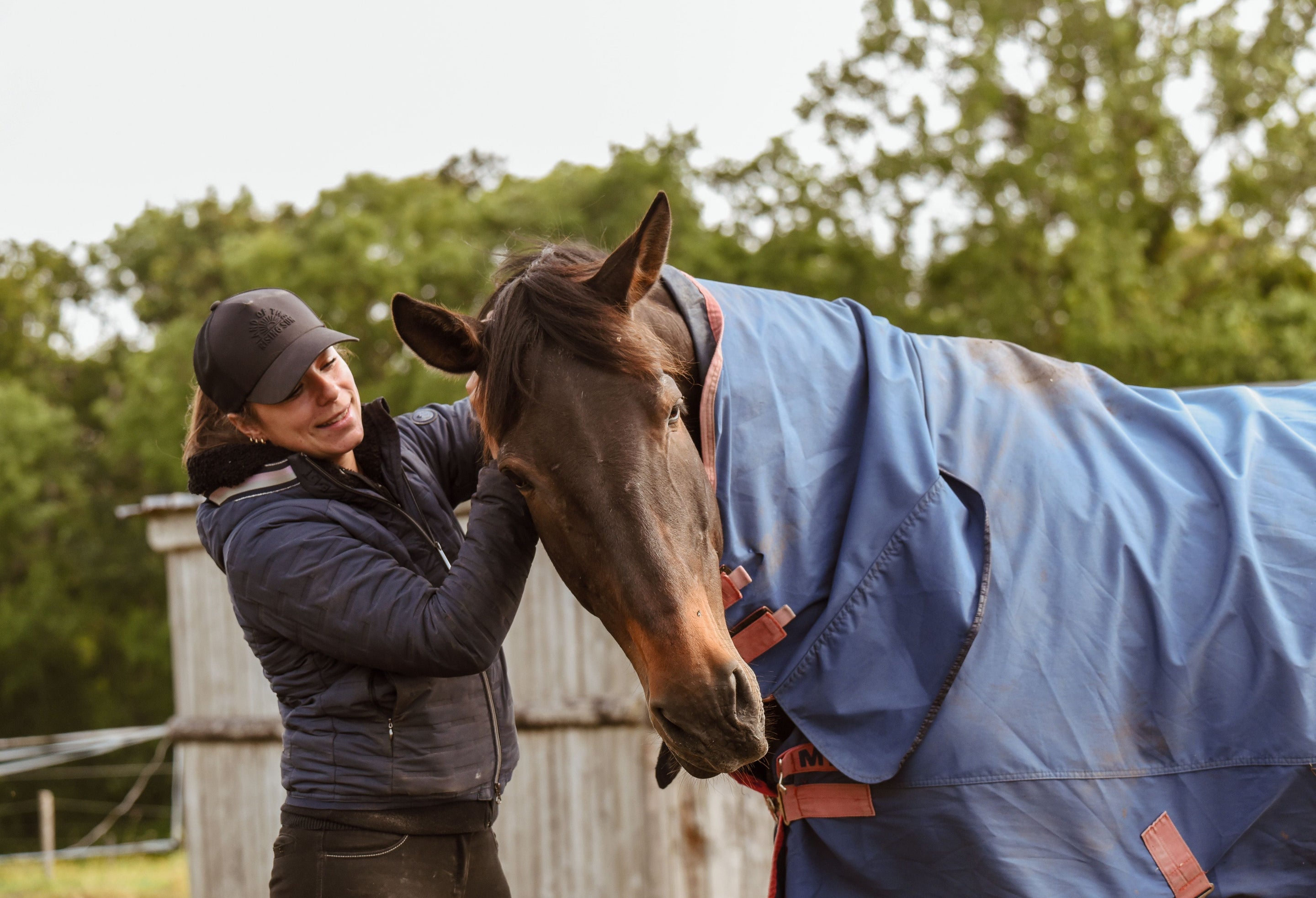 Mon cheval est à plat avec l’arrivée du printemps : causes et solutions naturelles !