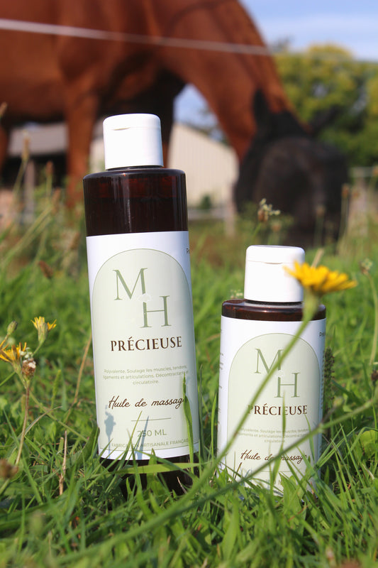 ☁ Précieuse - Huile de massage - Mellow Horses