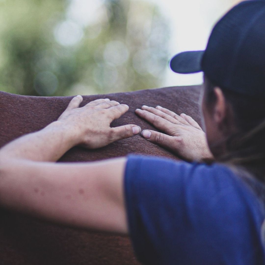 Articonfort - Huile de massage spéciale articulations - Mellow Horses