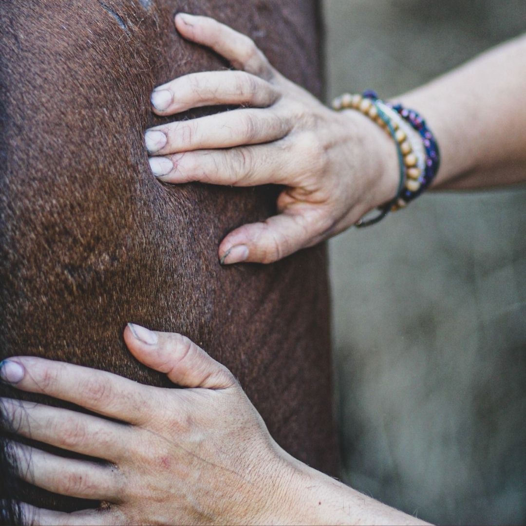 Contre coups - Huile de massage anti-chocs - Mellow Horses