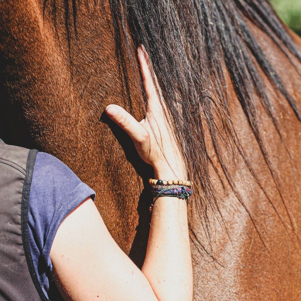Show must go on - Huile de massage tout en un - Mellow Horses
