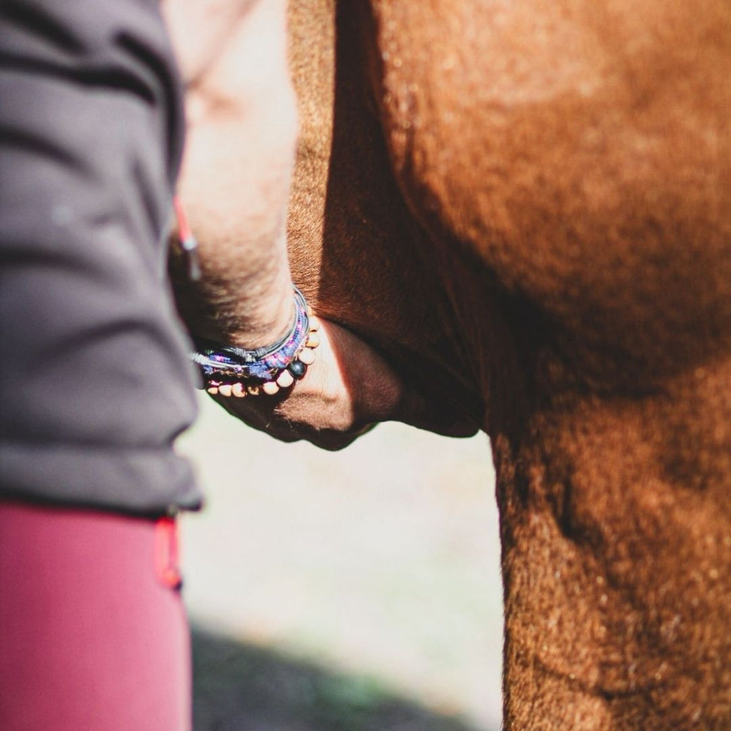 Show must go on - Huile de massage tout en un - Mellow Horses