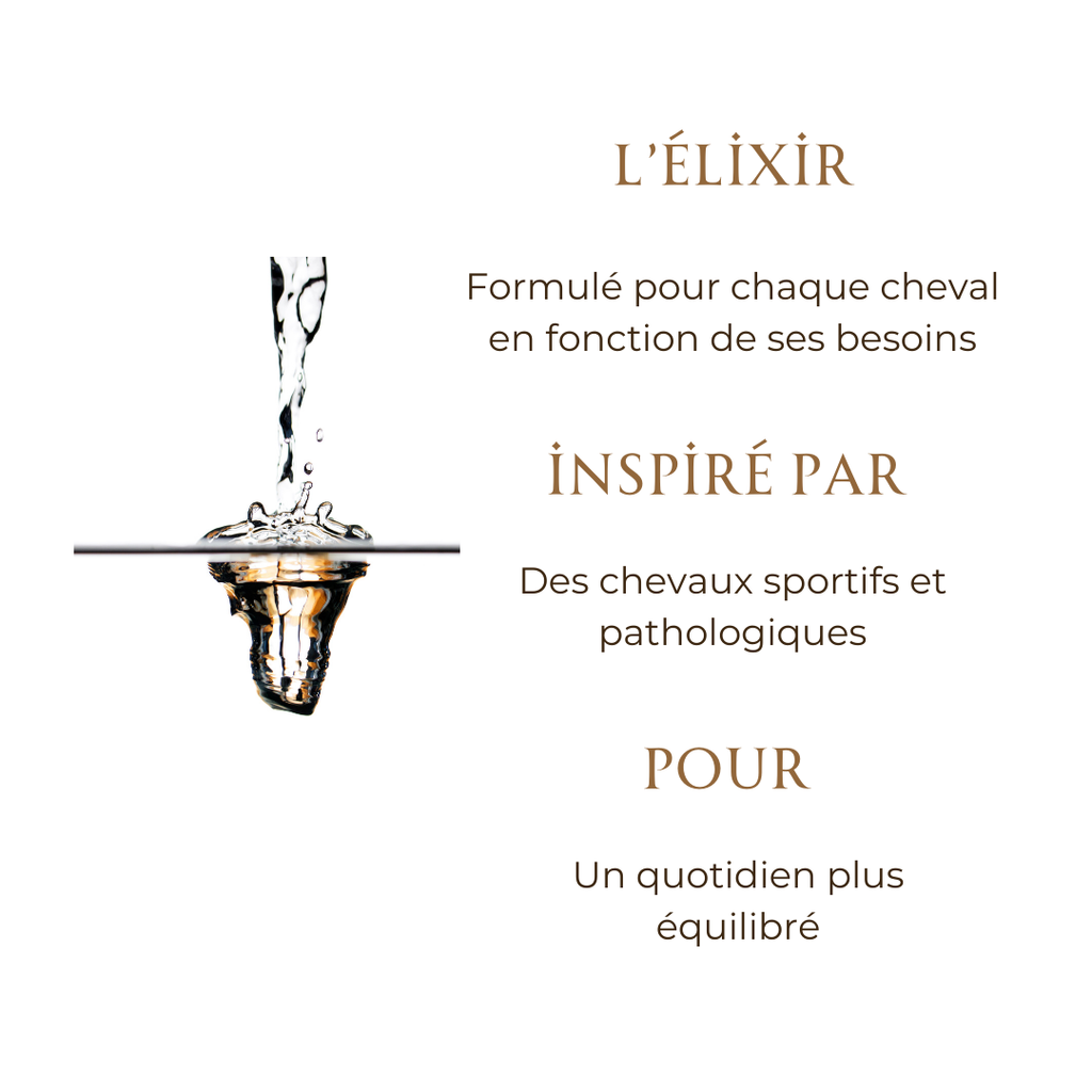 🌿 Elixir personnalisé - Mellow Horses