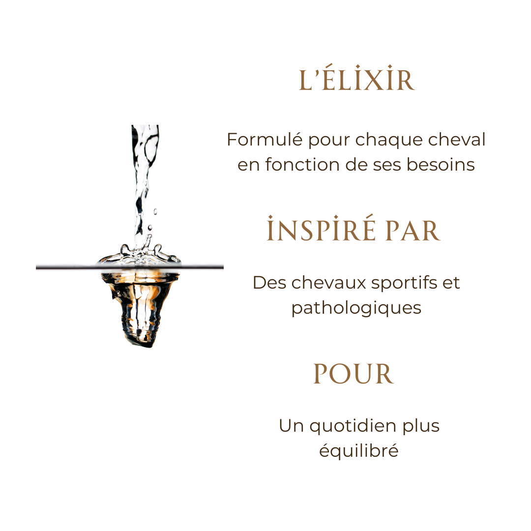 🌿 Elixir personnalisé - Mellow Horses