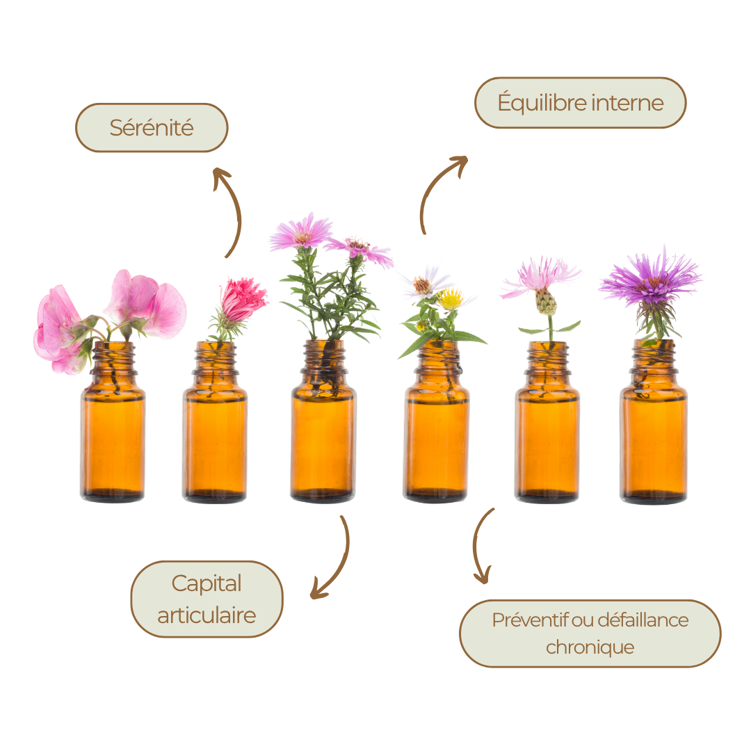 🌿 Elixir personnalisé - Mellow Horses