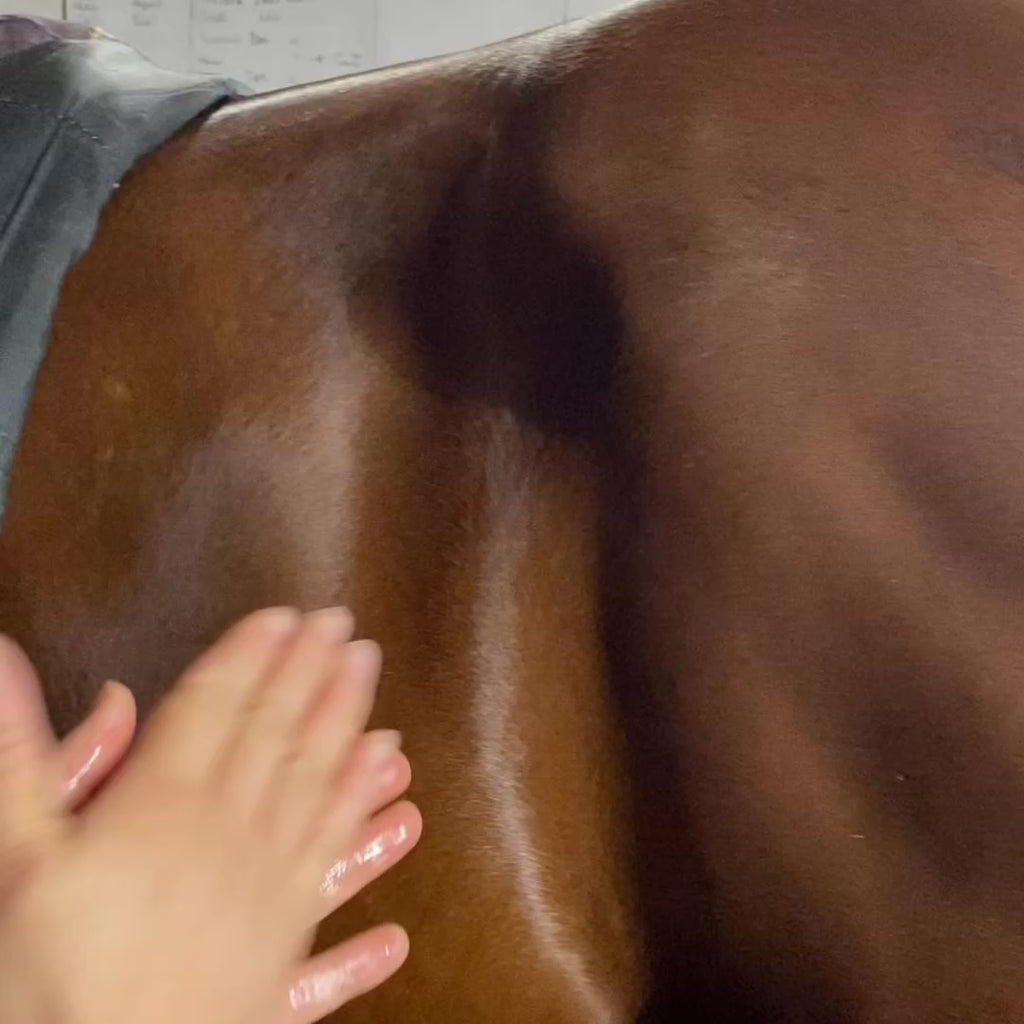 Show must go on - Huile de massage tout en un
