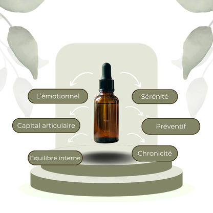🌿 Elixir personnalisé